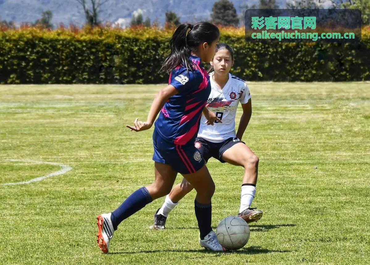 彩客网官网观点：高位逼抢战术效果分析